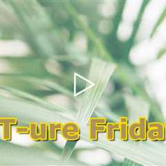 FEETure Friday | A New Point of View Trimming Toenails on Diabetic Patient #diabetic #trimming