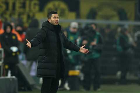 Fear The Wall: The Consequences of Not Choosing Sahin