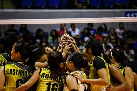 Volleyball Betting Odds Explained: Read and Calculate Bets