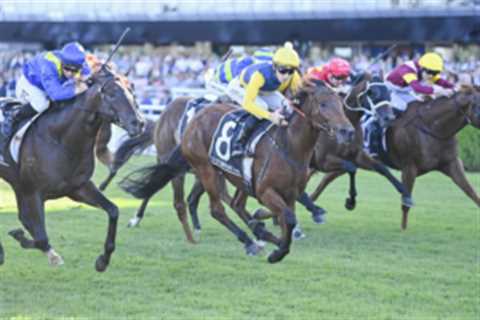 2025 Doncaster Mile Victory for Stefi Magnetica
