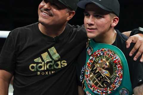 Boxing Genius: Analyzing the Art and Skill