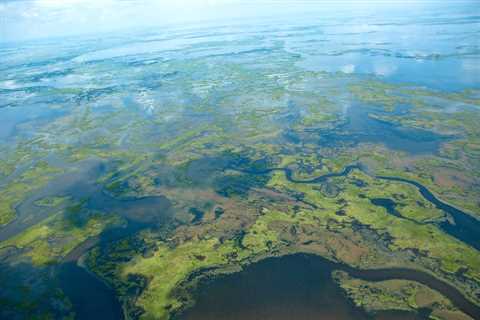 Chevron Ordered to Pay $744.6 Million for Destroying Louisiana’s Coastal Wetlands