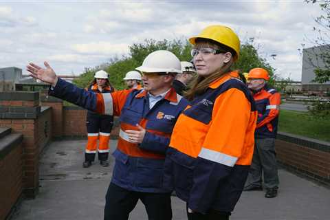 Pressure mounts on Downing Street to block China from UK industries