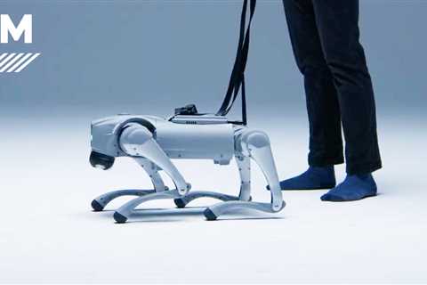 AI Robot Dog IntuiCell Features a Digital Nervous System