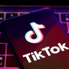 UK Data Security at Stake: TikTok Escapes Ban as Government Blocks Preventative Measures