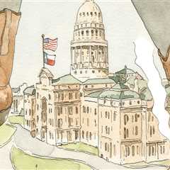 The Driving Forces Behind Political Activities in Southeast Texas: An Expert's Perspective