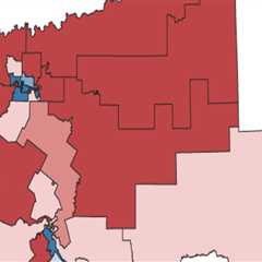 The Impact of Redistricting on Political Activities in Southeast Texas: An Expert's Perspective