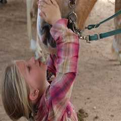 Horse Shows for Kids in Currituck County, North Carolina