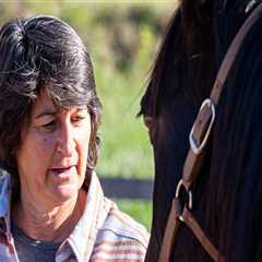 The Ultimate Guide to Accommodations for Horse Shows in Currituck County, North Carolina