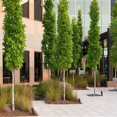 Celebrating Responsibly: Promoting Sustainable Practices in Southeastern Mississippi