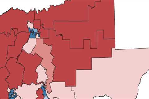 The Impact of Redistricting on Political Activities in Southeast Texas: An Expert's Perspective