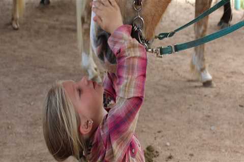 Horse Shows for Kids in Currituck County, North Carolina