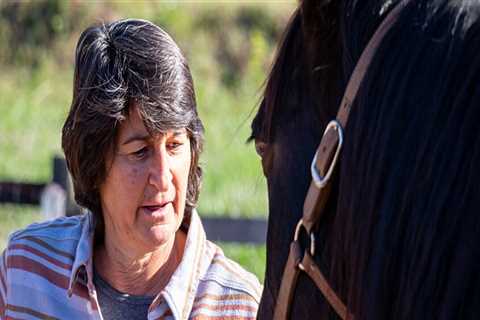 The Ultimate Guide to Accommodations for Horse Shows in Currituck County, North Carolina