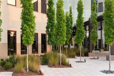 Celebrating Responsibly: Promoting Sustainable Practices in Southeastern Mississippi