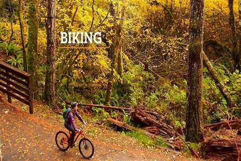 Discovering the Best Bicycling Routes in Washington County, Oregon
