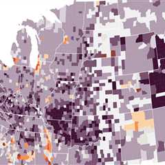 The Impact of Age on Political Representation in Northeastern Illinois