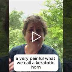 One Single Keratotic Horn - Intro