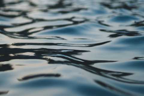 The Role of Politicians in Shaping Environmental Priorities in Northeastern Illinois