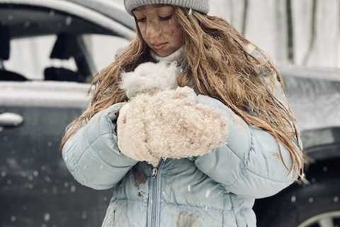 ‘Animals in War’ Film Anthology Tells Stories of Animals and Ecosystems Impacted by Russia’s War on ..