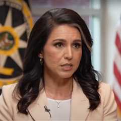 ‘Deranged Behavior’: Tulsi Gabbard Accuses Mainstream Media Reporter of ‘Actively Harassing’ Her..