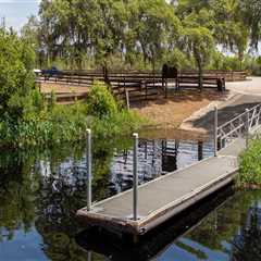 5 Must-Attend Health and Wellness Community Events in Lake County, Florida