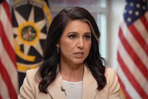 ‘Deranged Behavior’: Tulsi Gabbard Accuses Mainstream Media Reporter of ‘Actively Harassing’ Her..