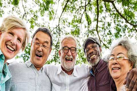 Assisting Senior Citizens in Honolulu County, Hawaii: Programs and Services for Home Modifications