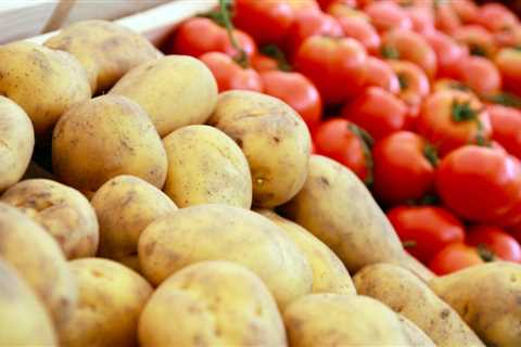 Potatoes Evolved From Tomatoes, New Study Finds