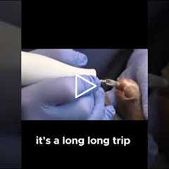 From Minnesota to Indiana: Long Drives and Family Ties #DrNailNipper #FootCare #MidwestLife