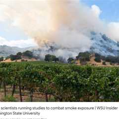 Wine Grapes and Climate Change