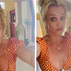 Britney Spears Cleans House While Singing in New Video