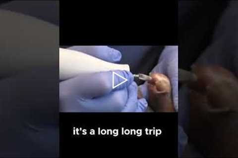 From Minnesota to Indiana: Long Drives and Family Ties #DrNailNipper #FootCare #MidwestLife