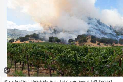 Wine Grapes and Climate Change