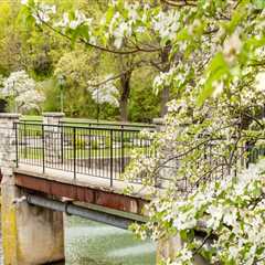 The Importance of Educational and Informational Booths at Spring Festivals in Northwest Arkansas