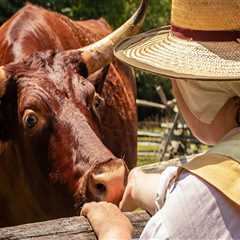 The Mouth-Watering Traditions of Southern Maryland Community Celebrations