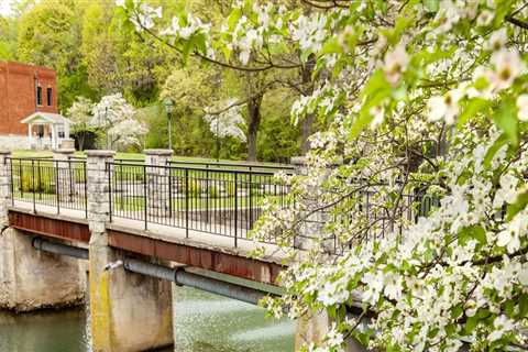 The Importance of Educational and Informational Booths at Spring Festivals in Northwest Arkansas
