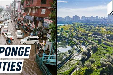 Cities Turn to Nature in Race Against Extreme Floods