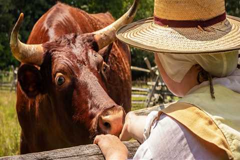 The Mouth-Watering Traditions of Southern Maryland Community Celebrations