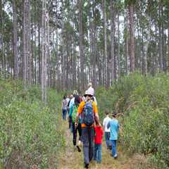 The Impact of Public Policies on Environmental Conservation in Orange County, Florida