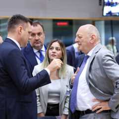 EU must sharpen its industrial edge on the road to climate neutrality