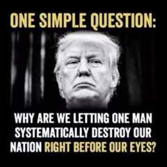 Why Are We Allowing Trump to Ruin Our Country?