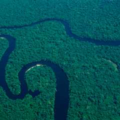 10 reasons why we need to act for the Amazon