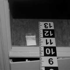 New Information on Biden White House Cocaine Scandal Revealed