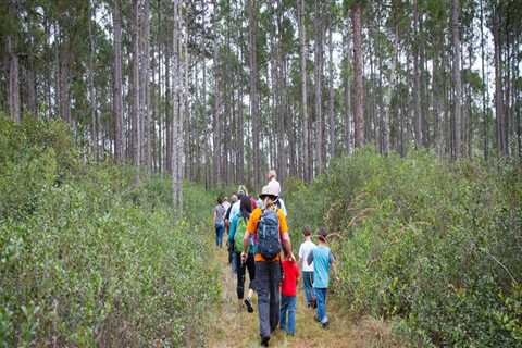 The Impact of Public Policies on Environmental Conservation in Orange County, Florida
