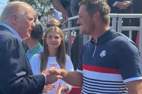 Secret Service Releases Statement After NYPD Detective Sneaks Into Ryder Cup While Pretending to Be ..