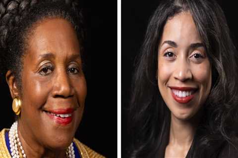 The Impact of Race and Ethnicity in Harris County, Texas Politics: An Expert's Perspective