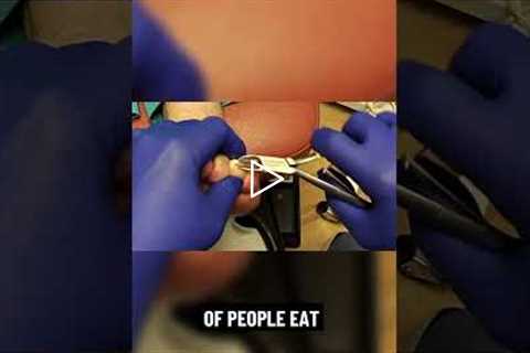 Secrets to Celebrating a Century of Life!