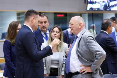 EU must sharpen its industrial edge on the road to climate neutrality