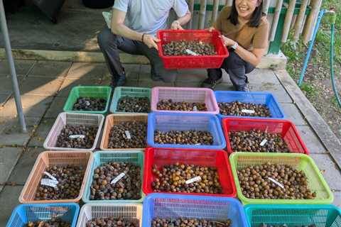 Cropped 22 October 2025: Global forest loss dips; Bird species in peril; Climate impact on Thai..