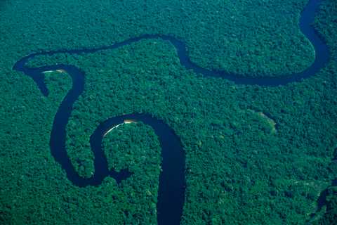 10 reasons why we need to act for the Amazon